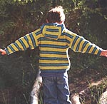 Orrin's Hooded Pullover