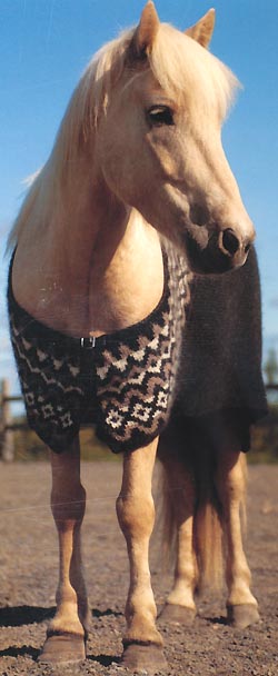 Lopi Pattern