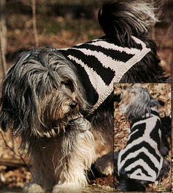 Zebra Dog